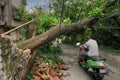 Super cyclone Amphan, West Bengal, India