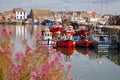 Howth harbour Royalty Free Stock Photo