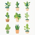 Hoya (Waxplant, Waxvine, Waxflower) Houseplants Pot Plant Icon Set, Hoya Plant Flat Design