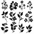 Hoya (Waxplant, Waxvine, Waxflower) Pot Plant Icon Set, Hoya Plant Black White Design, Abstract Hoya Symbol