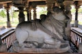 Hoysaleshwara Hindu temple, Halebid, India