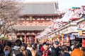 Hozomon gate in Asakusa, Tokyo