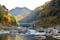 Hozu river autumn