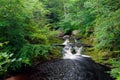 The HoÃÂ«gne river in the Belgium Ardennes is a small river full of cascades in the Liege Province Royalty Free Stock Photo