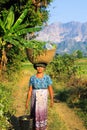 Burmese old farming woman in rural area carrying a heavy basket on her head on agricultural path Royalty Free Stock Photo