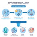 HPV vaccine explained, step-by-step of immunization, immune response Royalty Free Stock Photo