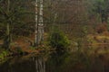 Hranicni pond in Luzicke mountains in autumn color wet morning