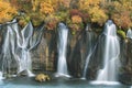 Hraunfossar waterfall in autumn Royalty Free Stock Photo