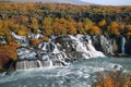 Hraunfossar waterfall in autumn