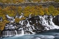 Hraunfossar waterfall in Iceland. Autumn colorful landscape Royalty Free Stock Photo