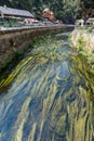 HRENSKO, CZECH REP - JULY 19, 2020. Hrensko and river Kamenice on the Czech-German border with amazing sandstone pillars behind,