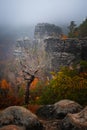 Hrensko, Czech Republic - Lonely tree in Bohemian Switzerland National Park a foggy day with autumn foliage and rock formations Royalty Free Stock Photo