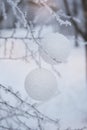 ÃÂ¡hristmas balls on white snowy background Royalty Free Stock Photo