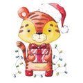 ÃÂ¡hristmas watercolor illustration on a white background. New Year, the year of the tiger.