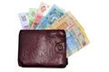 Hrivna cash and wallet