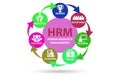 HRM - human resources management concept