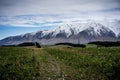 Scenic view of New Zealand farm