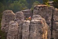 Hruboskalske skalni mesto rock panorama. Sandstone rock city, Bohemian paradise, Czech Republic