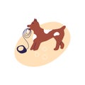 Hsppy little brown dog. Vector flat illustration, isolated on a white background Royalty Free Stock Photo