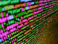 HTML5 concept macro backdrop in warm colors. Abstract source code background. Shallow Depth of Field effect. Web developer Royalty Free Stock Photo