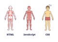 HTML, JavaScript or CSS programming compared to human anatomy outline concept