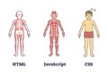 HTML, JavaScript or CSS programming compared to human anatomy outline concept Royalty Free Stock Photo