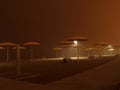 HTO Park Beech At Night Royalty Free Stock Photo