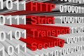 HTTP Strict Transport Security