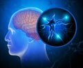 Human brain with active neurons Royalty Free Stock Photo