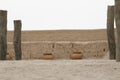 Huaca Pucllana - Lima - Peru Royalty Free Stock Photo
