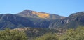 A Huachuca Mountain Autumn Royalty Free Stock Photo