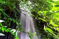 Huai Huai Waterfall Hiking at Muang District, Sakon Nakhon Province, 10/7/2560