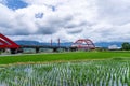 Beautiful Red Iron Bridge Kecheng Bridge And Morning Train Across The Rice Plantation At Yuli