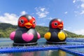 Giant rubber duck in Liyu Lake in Hualien of Taiwan