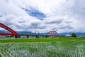 A train across a m-type Red Bridge on the lush paddy fields, is Taiwan sight in East on August 14 2018 in Hualien, Taiwan