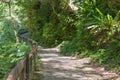 Shakadang Trail Mysterious Valley Trail at Taroko National Park. a famous tourist spot in Xiulin, Hualien, Taiwan