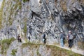 Zhuilu Cliff at Zhuilu Old Road in Taroko National Park, Xiulin, Hualien, Taiwan