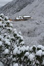 Snow, winter, freezing, geological, phenomenon, tree, frost, glacial, landform, mountain, tundra, fell, landscape, ice