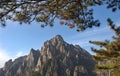 Huangshan Mountain in Anhui Province, China. View of mountain peaks, cliffs and trees near Sanxi Bridge and Fairy Walking Bridge Royalty Free Stock Photo