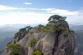 Huangshan Mountain in Anhui Province, China. View of a rocky outcrop surmounted by pine trees on the path to Lotus Peak