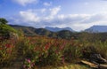 Huangshan mountain west of anhui scenery