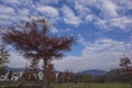 The scenery of hongcun town, hongcun town, yixian county, huangshan city Royalty Free Stock Photo