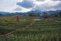 A windmill in huangshan west of huangshan, anhui province