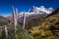 Huascaran Mountain massif in Cordillera Blanca, snowcapped Andes, Ancash, Peru