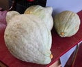 Hubbard Squash tough skin masks a super sweet, golden yellow interior