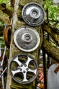 Hubcap Collection Hanging on Old Wood Royalty Free Stock Photo