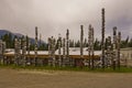 A hubcap forest in the Yukon