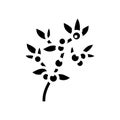 huckleberry bilbery plant glyph icon vector illustration