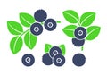 Huckleberry logo icon set