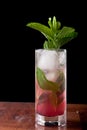 Huckleberry mojito Royalty Free Stock Photo